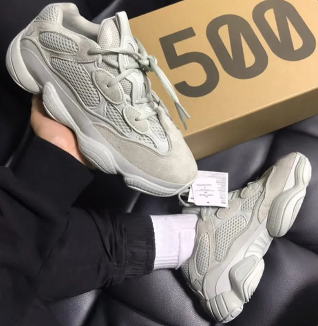 Yeezy 500 Shoe